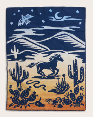 Pendleton Desert Dream Crib Blanket Baby Wool USA